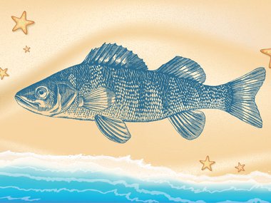 Graphic showing a fish print on an illustrated beach shore