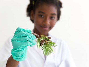 Girl holding branch of pine with little pinecones.jpg