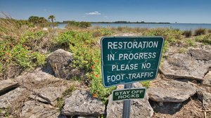VA250: Conservation