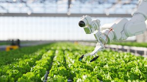 VA250: Agriculture