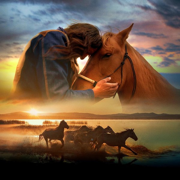 horse power hero.jpg