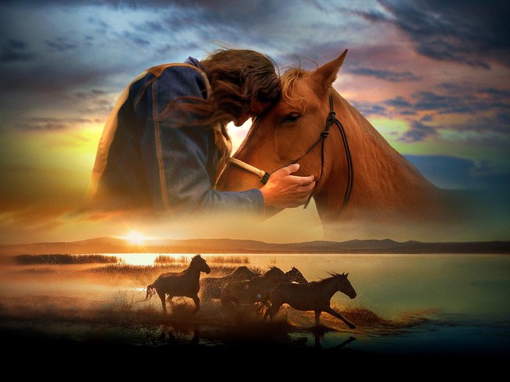 horse power hero.jpg