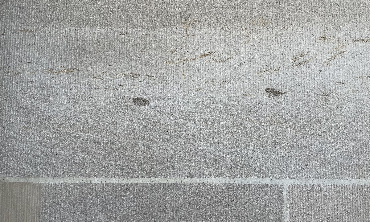 Brossbedding in the Indiana limestone. Discoloration resembles paint brush strokes.