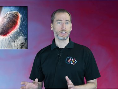 Justin Top 5 Cover image.png