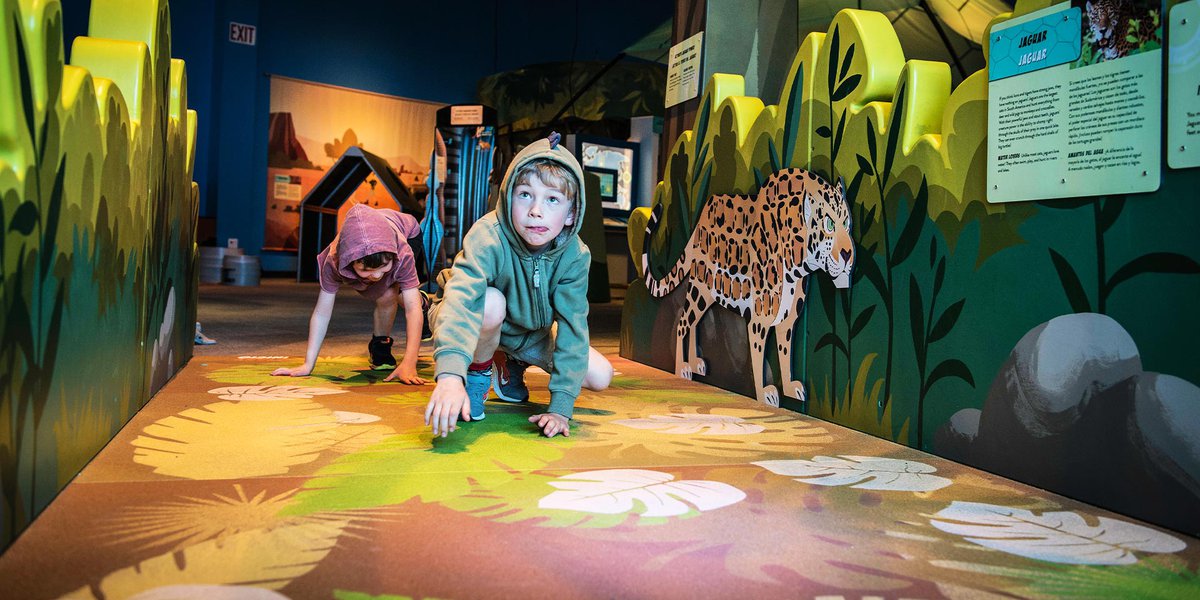 Kids playing in the touring exhibition Wild Kratts Creature Power