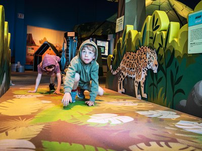 Kids playing in the touring exhibition Wild Kratts Creature Power