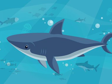 Cartoon shark swimming.