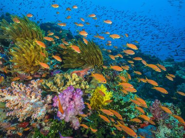 Oceans Our Blue Planet.jpg