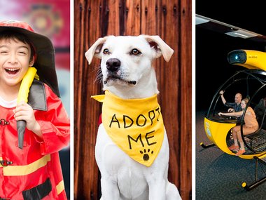 Left, boy wearing a firefighting costume, middle image white dog wearing a yellow bandana that says Adopt Me and the right image is a couple interacting inside a yellow helicopter
