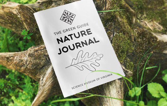Photograph of The Green Guide Nature Journal sitting on a tree trunk in nature