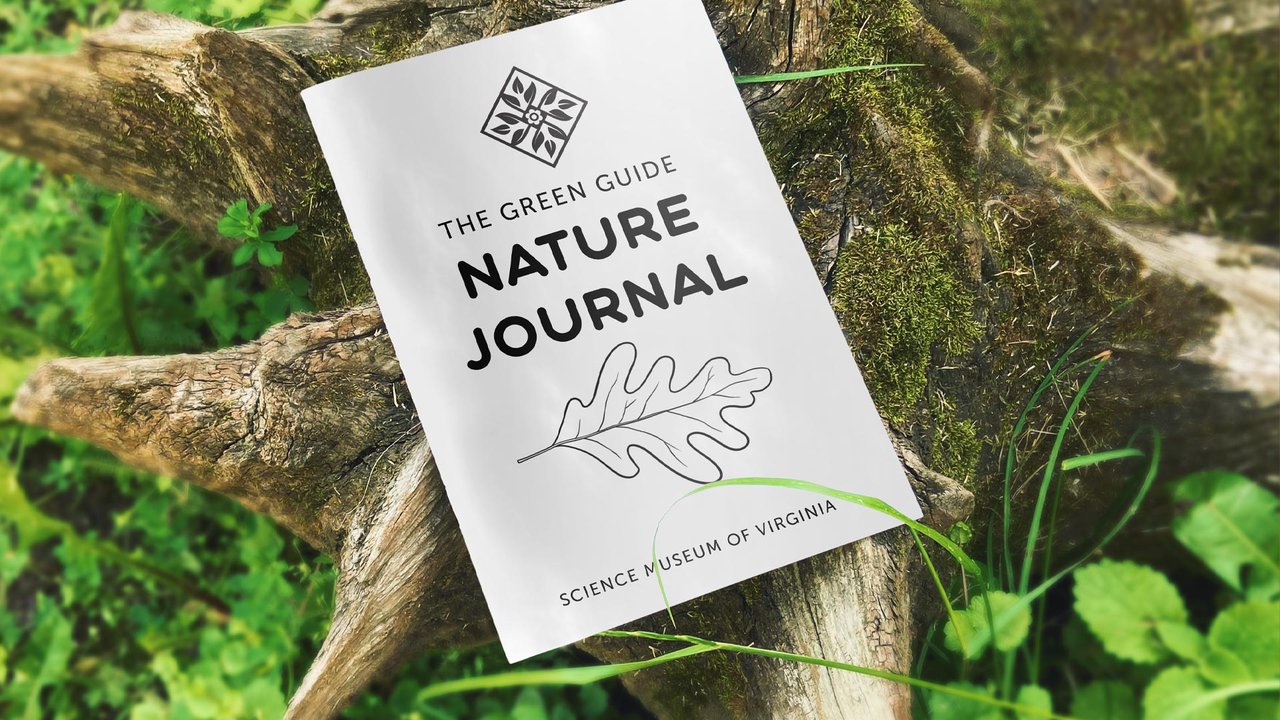 Photograph of The Green Guide Nature Journal sitting on a tree trunk in nature