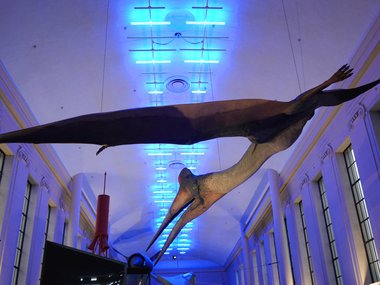 Quetzalcoatlus-full-body.jpg