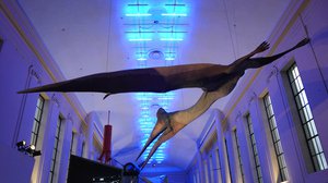 Quetzalco ... WHAT?!?