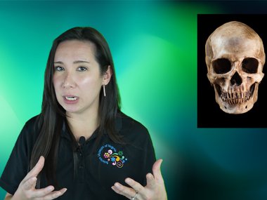screen grab of a scientist describing a story relating to a skull.png