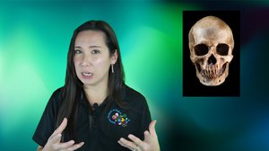 Top 5 Biological Anthropology Stories 2025