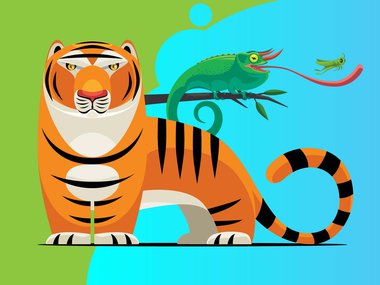 Cartoon tiger drawing.