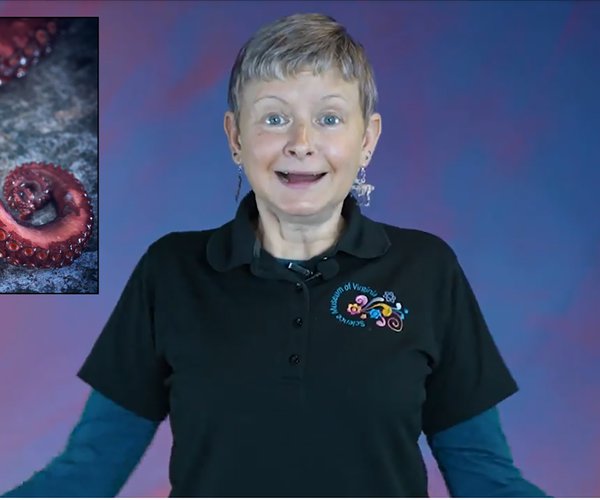 Timshel with an octopus tentacle .png