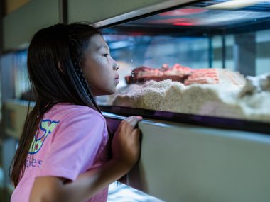 Young girl in pink shirt looking into one of the animal lab enclosures.jpg