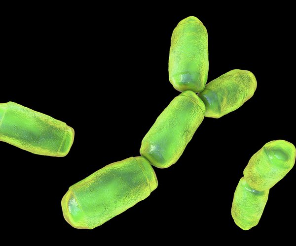 archaea under a microscope.jpg