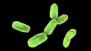 Question Your World: Could Archaea Be Used for Medicine?