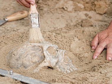 decorative image of unearthing human skull.jpg