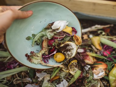 a plate of leafy greens is shown being discarded