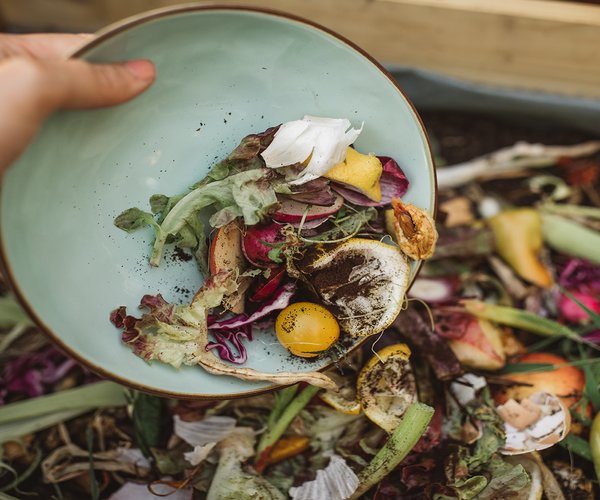 a plate of leafy greens is shown being discarded