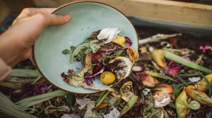 Can We Reduce Food Waste?