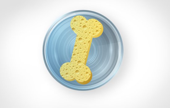 Image of a yellow bone shaped sponge in a bowl of water