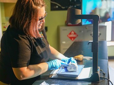 A side view of a heart dissection as performed by a team member.