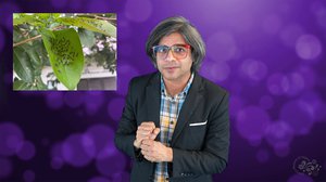Top 5 Science Deep Cuts 2024