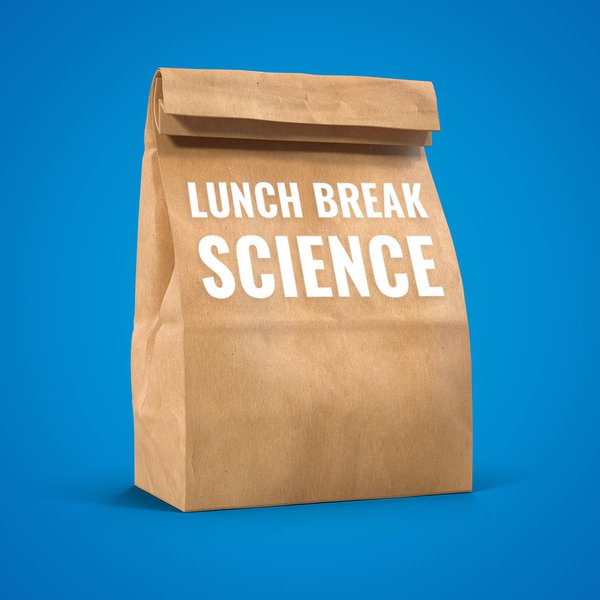 lunch_break_bag.jpg