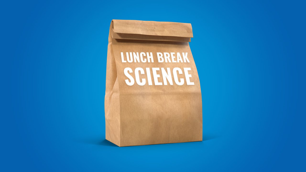 lunch_break_bag.jpg