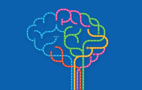 Minds of All Kinds logo that looks like a brain