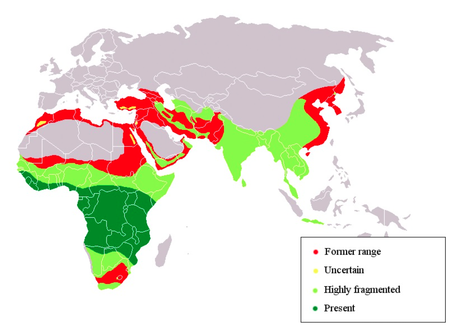 black panther habitat map