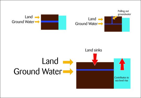 Is Our Coast Sinking? | Blog | Science Museum of Virginia