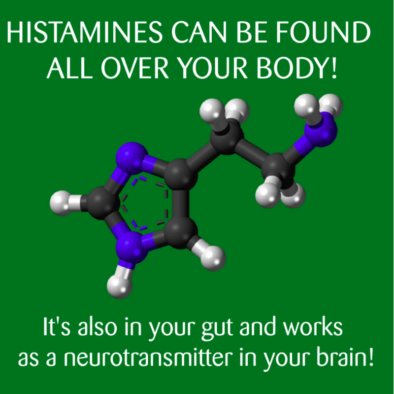 How Do Allergy Medications Work? Blog Science Museum of Virginia