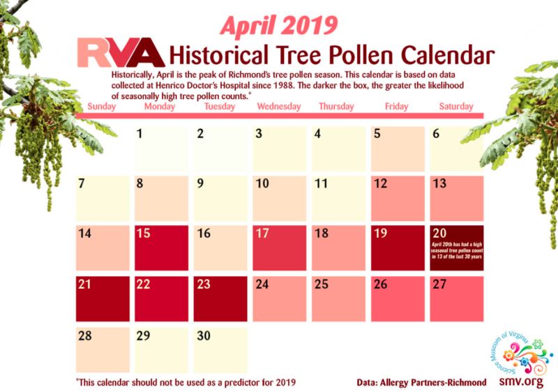 How Do Allergy Medications Work? Blog Science Museum of Virginia