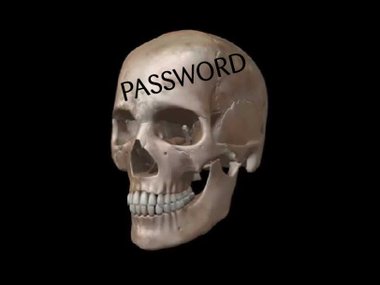 Skull Fingerprints.