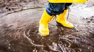 Question Your World: Is the Richmond Rainy Season Changing?