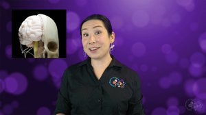 Top 5 Biological Anthropology Stories 2024