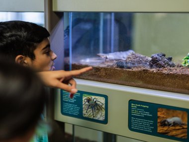 small group overlooking enclosure of an arachnid.jpg