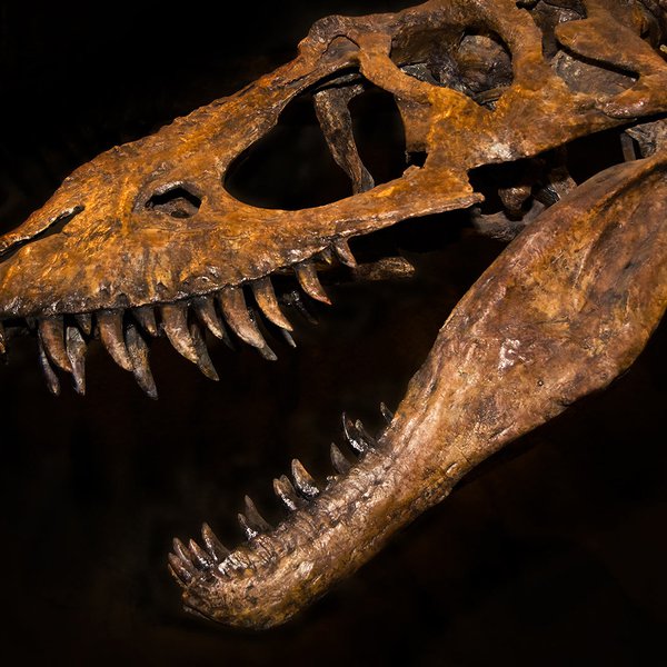 2020.05.06 blog feature.jpg