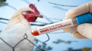 Question Your World: How Many Species Are Impacted by the Bird Flu?