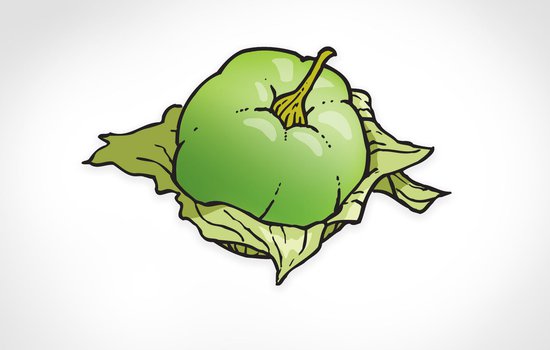 tomatillo.jpg