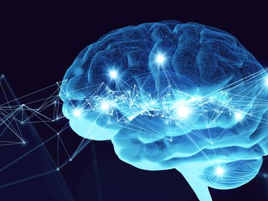 your amazing brain.jpg